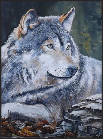FLORA A FAUNA 15