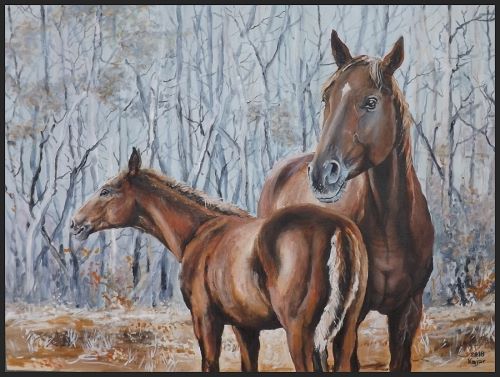 FLORA A FAUNA 23