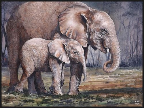 FLORA A FAUNA 19