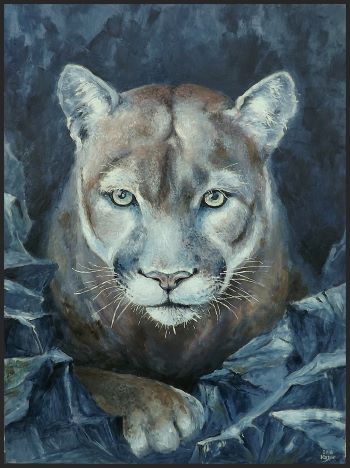 FLORA A FAUNA 16