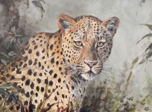 FLORA A FAUNA 17