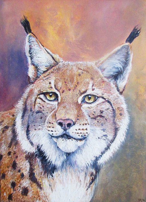 FLORA A FAUNA 123